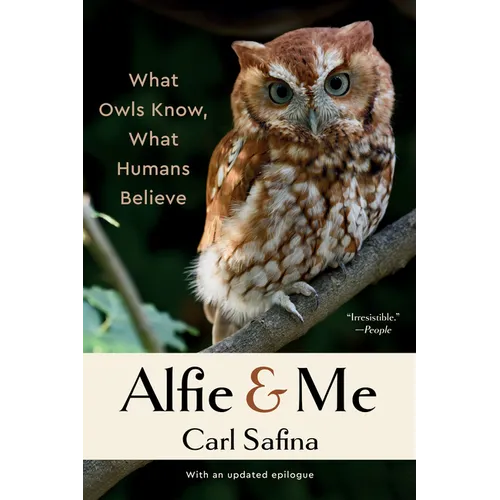 Alfie & Me: What Owls Know, What Humans Believe
