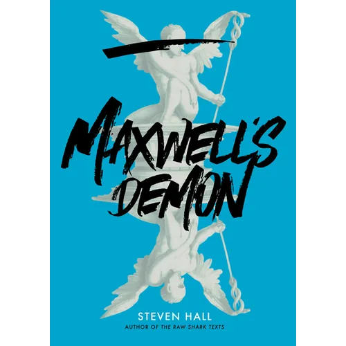 Maxwell's Demon