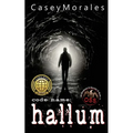 Hallum: An m/m romance spy thriller