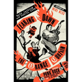 Tearing Down the Orange Curtain: How Punk Rock Brought Orange County to the World