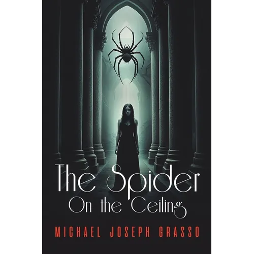The Spider on the Ceiling