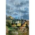 The Patient Wait of the Stones: Time and Memory in Lunigiana