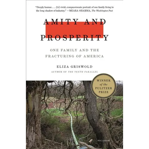 Amity and Prosperity: One Family and the Fracturing of America