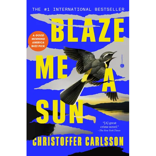 Blaze Me a Sun: A Novel about a Crime