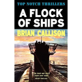 A Flock of Ships