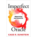 Imperfect Oracle: What AI Can and Cannot Do