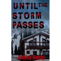 Until the Storm Passes