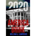 2020: America on the Brink-A Novel