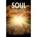 Soul Survival: A Boy Is The Battlefield Of Good And Evil