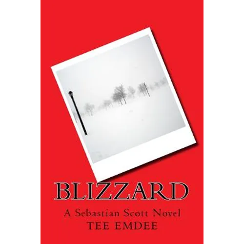 Blizzard: A Sebastian Scott Novel