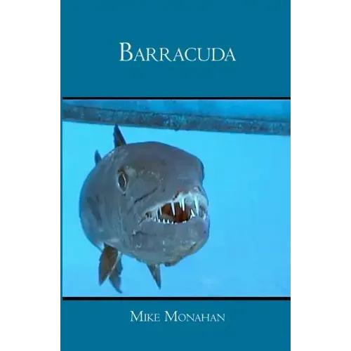 Barracuda