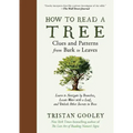 How to Read a Tree: Clues and Patterns from Bark to Leaves