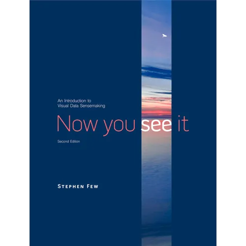 Now You See It: An Introduction to Visual Data Sensemaking