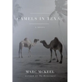Camels in Texas