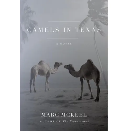 Camels in Texas