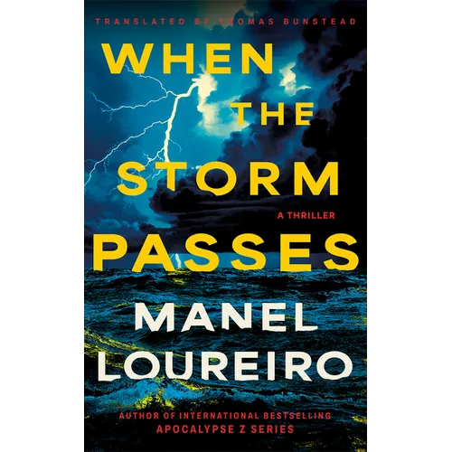 When the Storm Passes: A Thriller