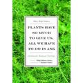 Plants Have So Much to Give Us, All We Have to Do Is Ask: Anishinaabe Botanical Teachings