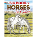 Big Book of Horses to Color