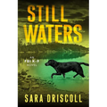 Still Waters: A Riveting Novel of Suspense