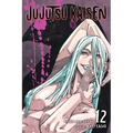 Jujutsu Kaisen, Vol. 12