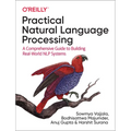 Practical Natural Language Processing: A Comprehensive Guide to Building Real-World Nlp Systems