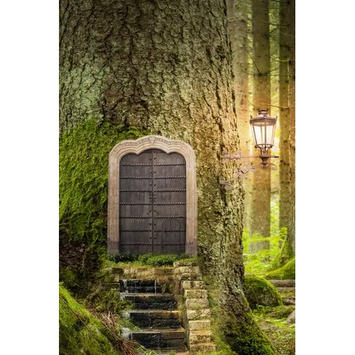 Forest Door, Discreet Internet Password Logbook, Large Print - Paperback - Clean Freak Lab