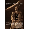 Playing in the Dark: Whiteness and the Literary Imagination