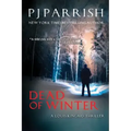 Dead Of Winter: A Louis Kincaid Thriller