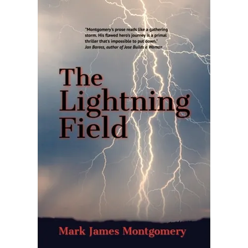 The Lightning Field
