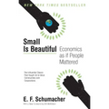 Small Is Beautiful: Economics as If People Mattered