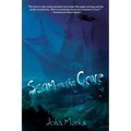 Scam on the Cove