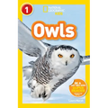 Owls (National Geographic Kids Readers, Level 1)