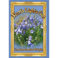 Marfa Lights Out