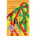 Readying to Rise: Essays
