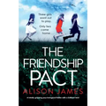 The School Friend: A totally gripping psychological thriller with a brilliant twist