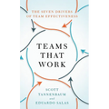 Teams That Work: The Seven Drivers of Team Effectiveness