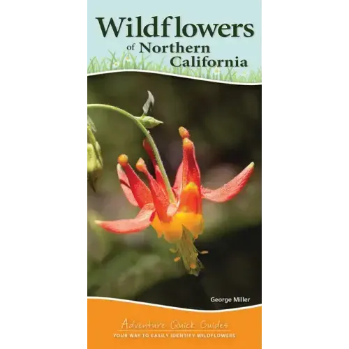 Wildflowers of Northern California: Your Way to Easily Identify Wildflowers