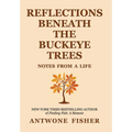Reflections Beneath the Buckeye Trees: Notes from a Life