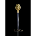 Head Lion