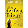 The Perfect Friend: A gripping psychological thriller