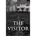 The Visitor: The suspense thriller with a twist