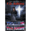 Truth in The Name: A Political Thriller