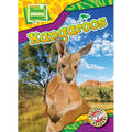 Kangaroos