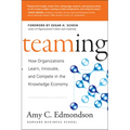 Teaming: How Organizations Learn, Innovate, and Compete in the Knowledge Economy