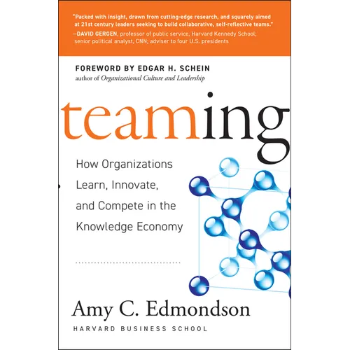 Teaming: How Organizations Learn, Innovate, and Compete in the Knowledge Economy