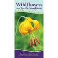 Wildflowers of the Pacific Northwest: Your Way to Easily Identify Wildflowers