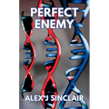 Perfect Enemy