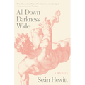 All Down Darkness Wide: A Memoir