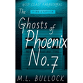 The Ghosts of Phoenix No.7