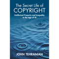The Secret Life of Copyright: Intellectual Property and Inequality in the Age of AI